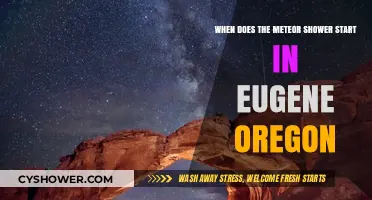 Eugene's Meteor Shower 2023: Start Time and Viewing Tips