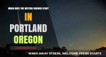 Portland's Meteor Shower 2023: Start Time and Viewing Tips