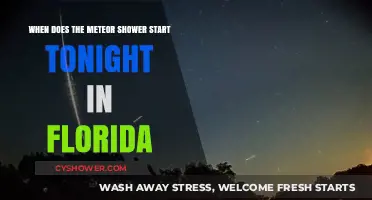 Florida's Meteor Shower Tonight: Start Time and Viewing Tips