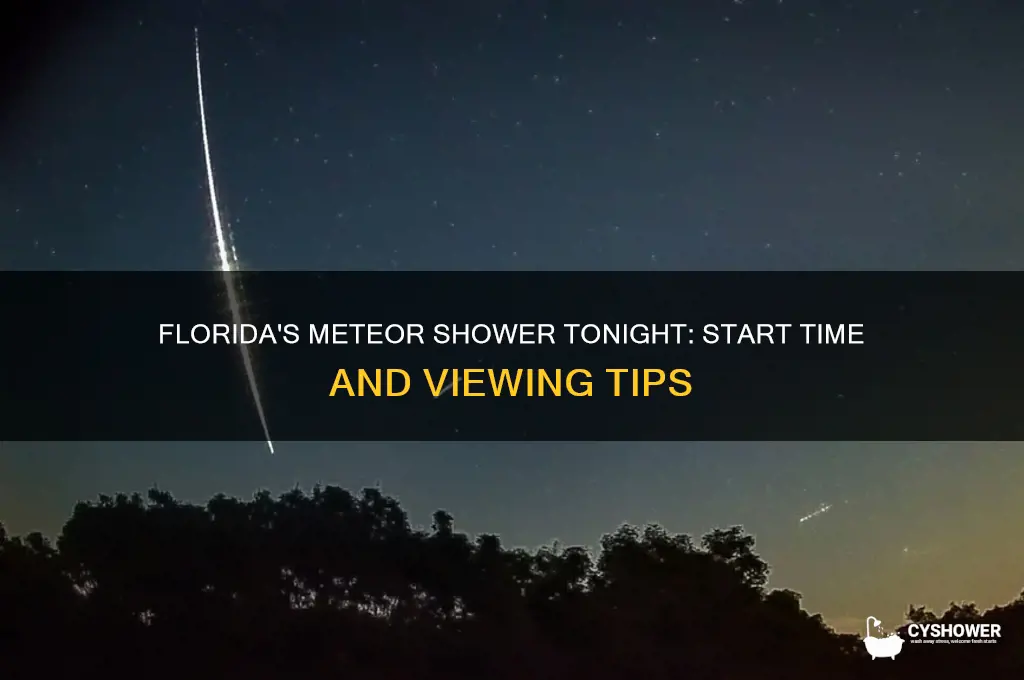 when does the meteor shower start tonight in florida