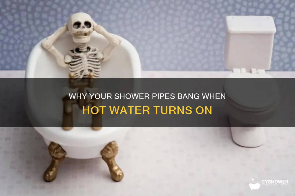 when hot water is on in shower banging on pipe