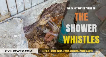 Why Your Shower Whistles When Hot Water Turns On: Explained