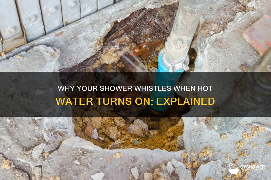 when hot water turns on the shower whistles