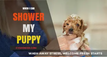 When Can I Shower My Puppy? A Complete Guide for New Owners