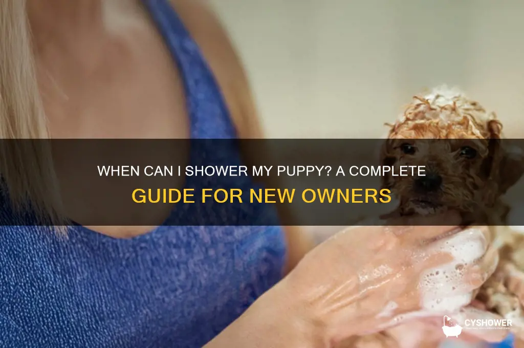 when i can shower my puppy