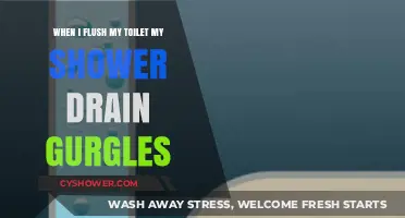 Why Does My Shower Drain Gurgle When I Flush the Toilet?
