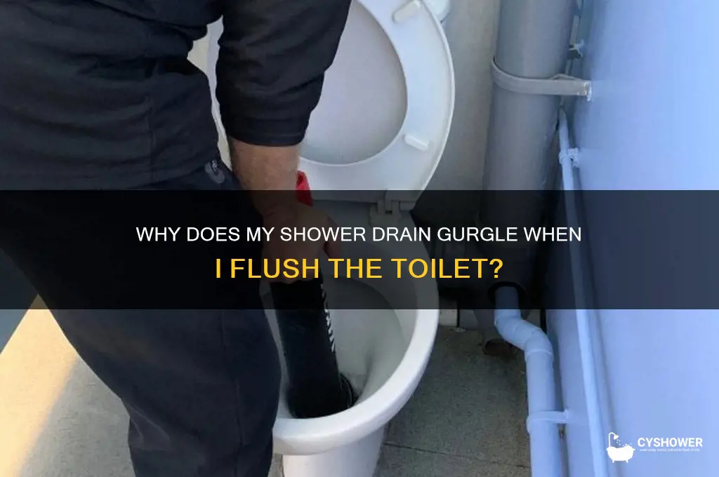 when i flush my toilet my shower drain gurgles