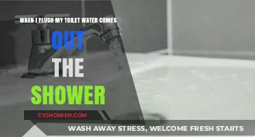 Toilet Flush Causes Shower Overflow: Troubleshooting Plumbing Nightmares