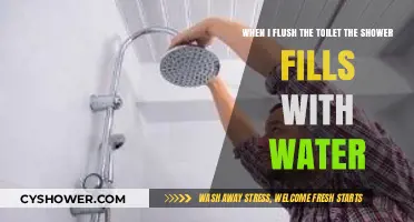 Why Flushing the Toilet Causes Your Shower to Fill with Water