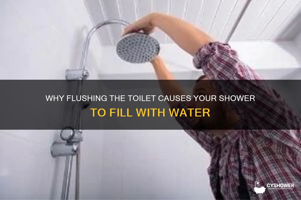 when i flush the toilet the shower fills with water