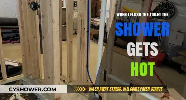 Why Flushing the Toilet Heats Up Your Shower: Plumbing Mysteries Explained