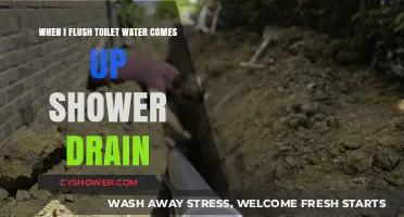 Toilet Flush Causes Shower Drain Backup: Causes and Solutions