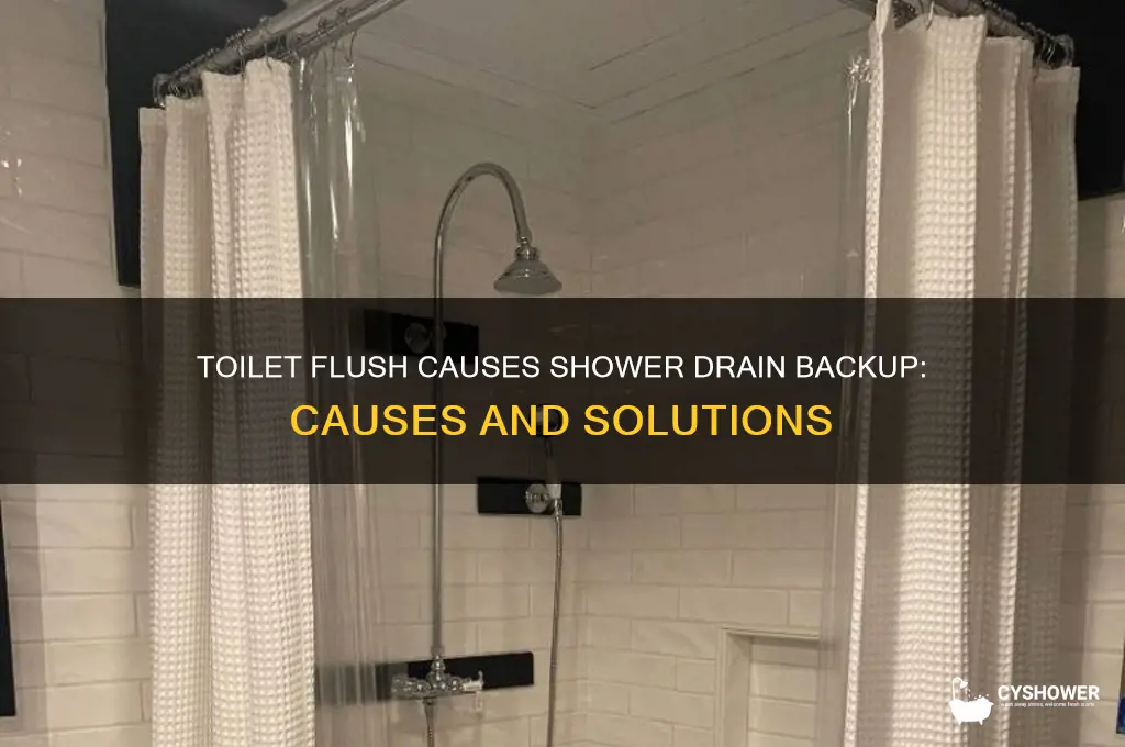 when i flush toilet water comes up shower drain