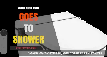 Why Flushing the Toilet Sends Water to Your Shower: Plumbing Mystery Explained