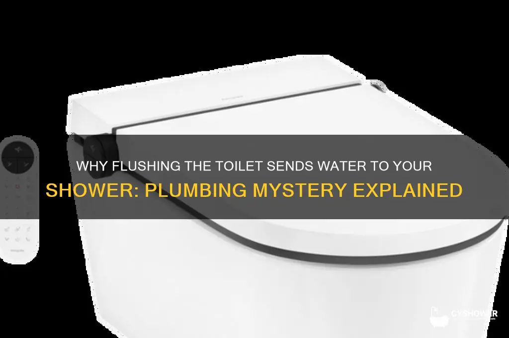when i flush water goes to shower