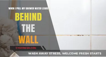 Shower Wall Leak: Fixing Water Seepage Behind the Wall