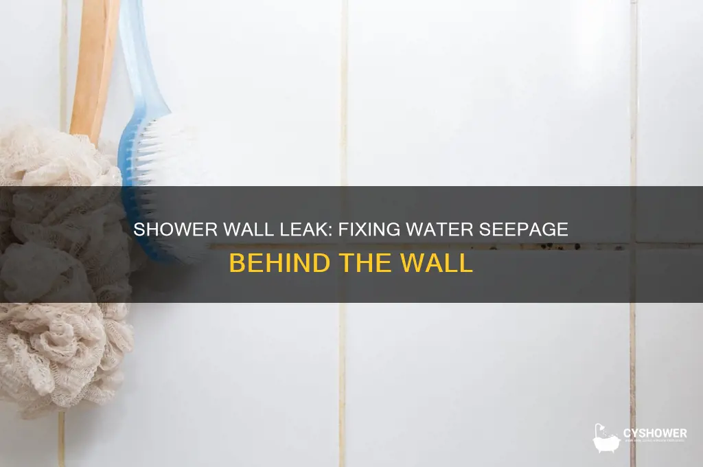when i pull my shower water leaks behind the wall