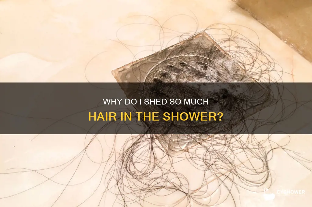when i shower i lose a lot of hair why