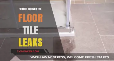 Shower Floor Tile Leaks: Causes, Solutions, and Prevention Tips