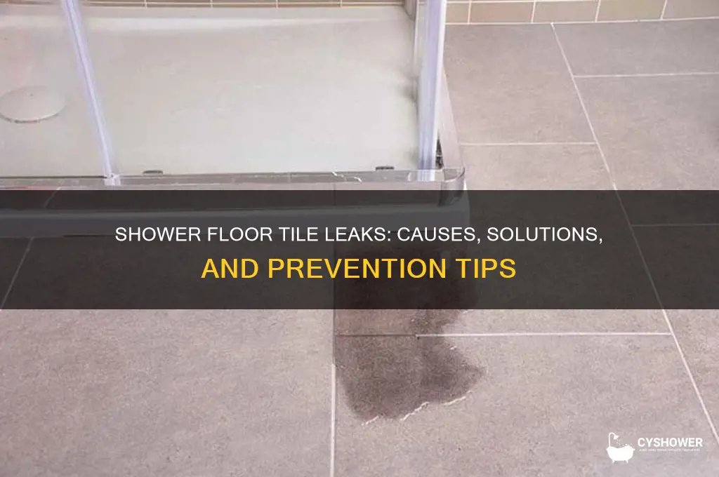 when i shower the floor tile leaks