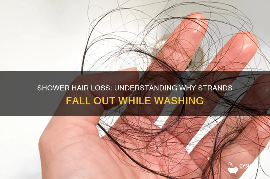 when i take a shower my hair falls out