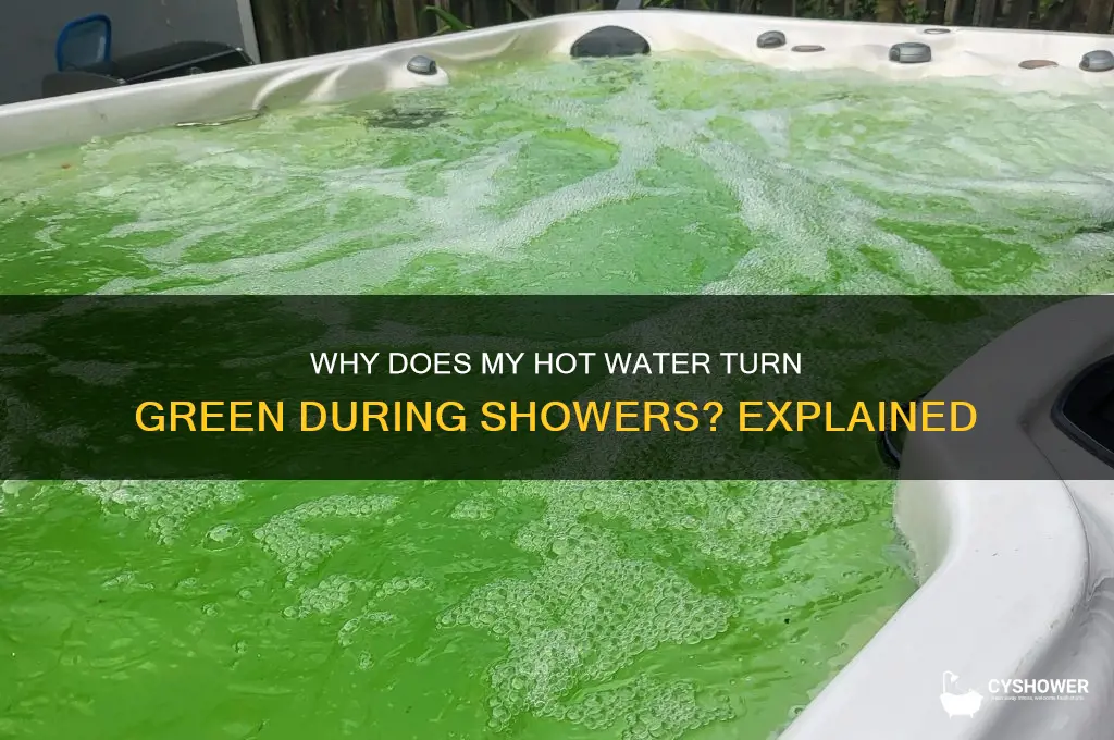 when i take a shower my hotwater turns green