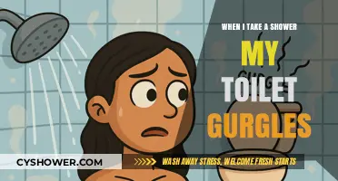 Why Does My Toilet Gurgle When I Shower? Plumbing Insights