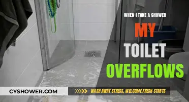 Shower Time Plumbing Mystery: Why Does My Toilet Overflow?