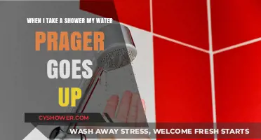 Why Your Water Pressure Drops When You Shower: Solutions Inside