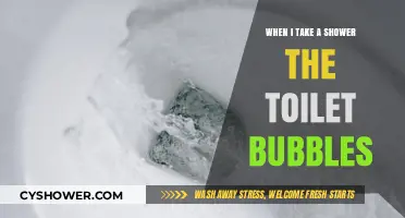 Why Does My Toilet Bubble When I Shower? Causes & Fixes