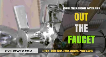 Shower Woes: Why Water Pours Out of the Faucet During Use