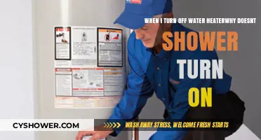 Why Your Shower Won't Turn On After Shutting Off the Water Heater