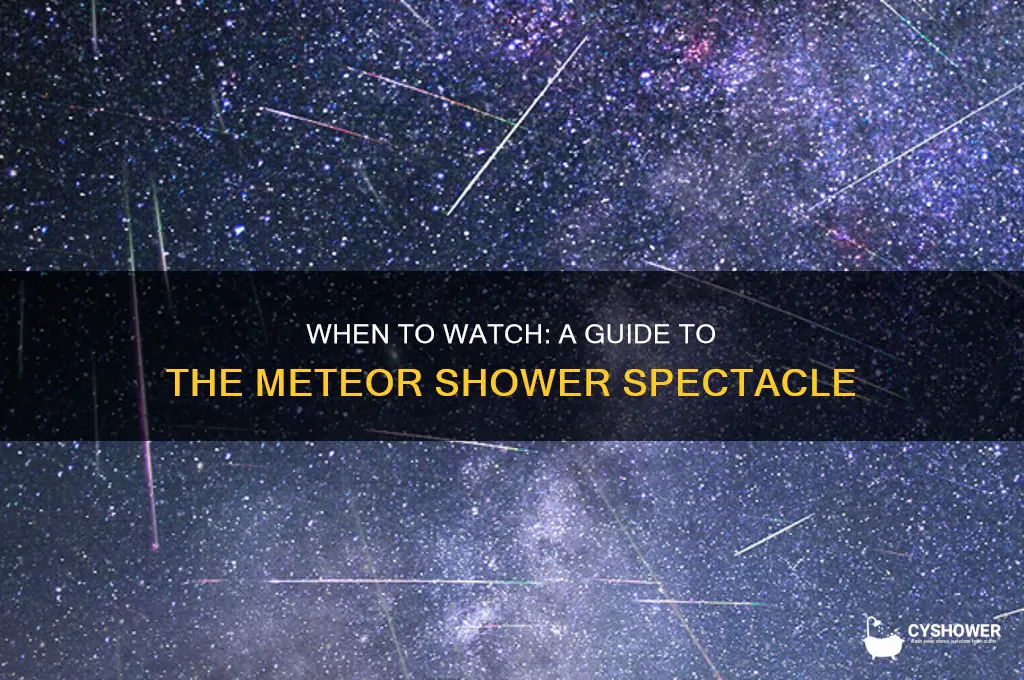 when in the meteor shower