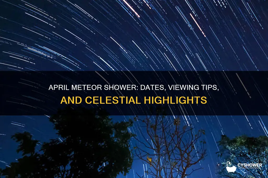 when is april meteor shower