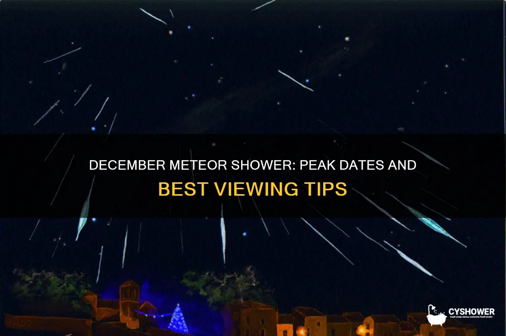 when is december meteor shower