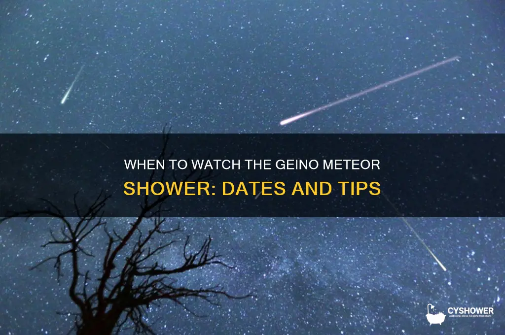 when is geino meteor shower happenign
