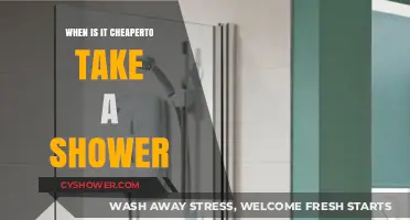 Save Money on Water Bills: Best Times for Affordable Showers