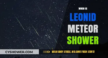 Leonid Meteor Shower 2023: Peak Dates and Viewing Tips