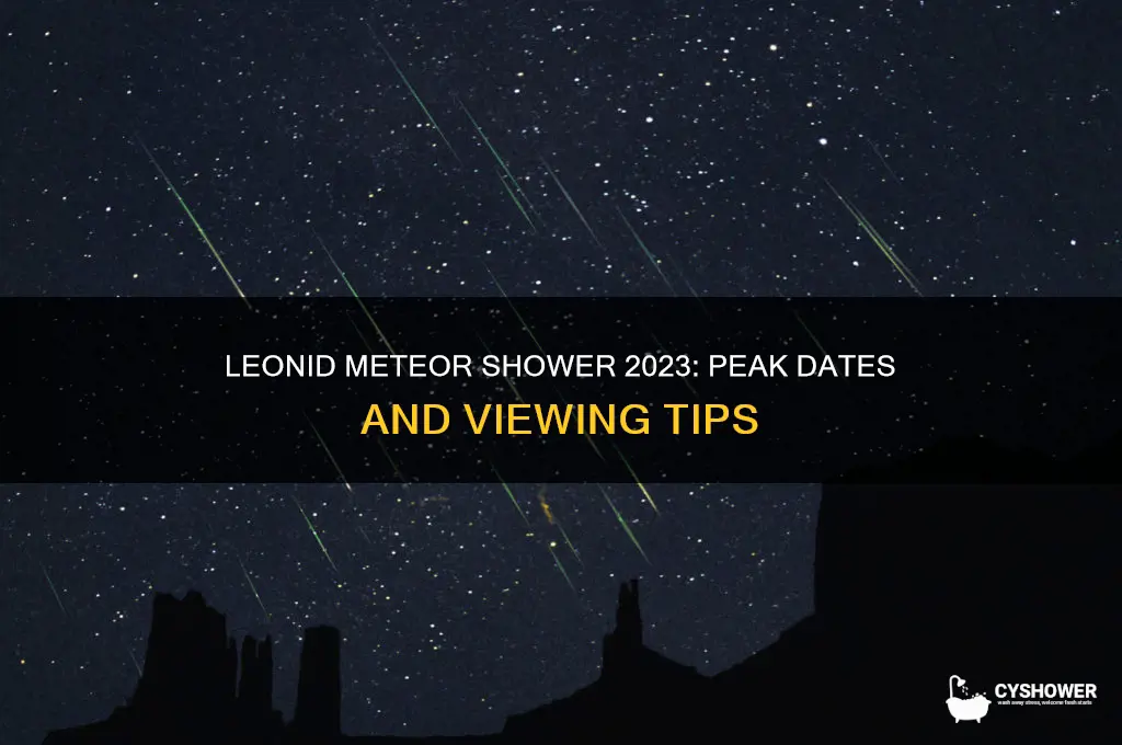 when is leonid meteor shower