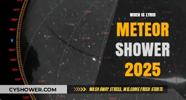 Lyrid Meteor Shower 2025: Dates, Peak, and Viewing Tips