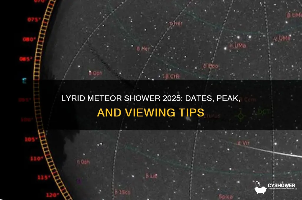 when is lyrid meteor shower 2025