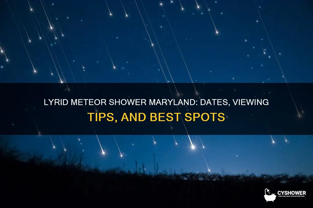 when is lyrid meteor shower maryland