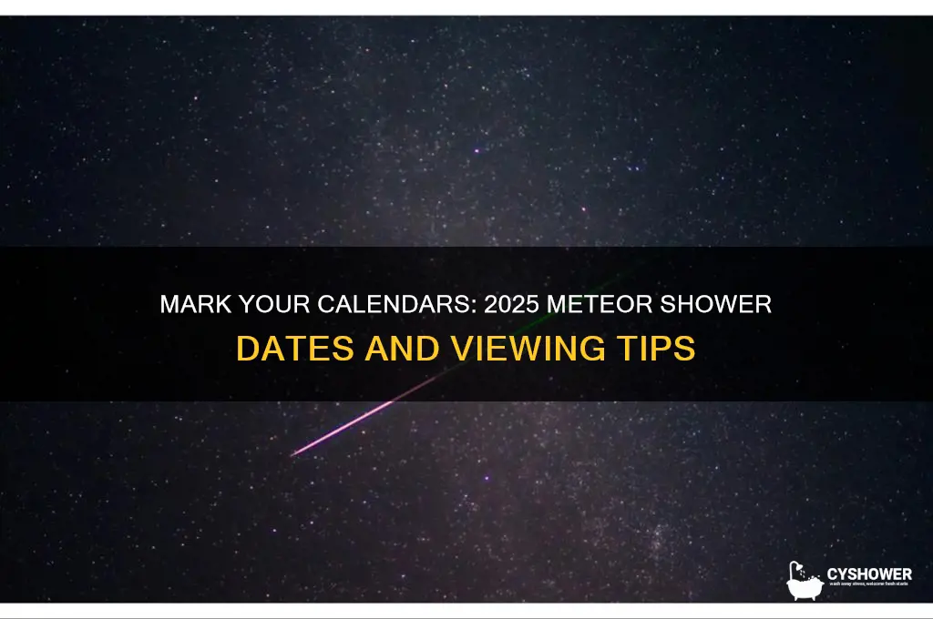 when is meteor shower 2025