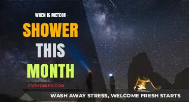 Catch the Celestial Show: Meteor Shower Dates This Month