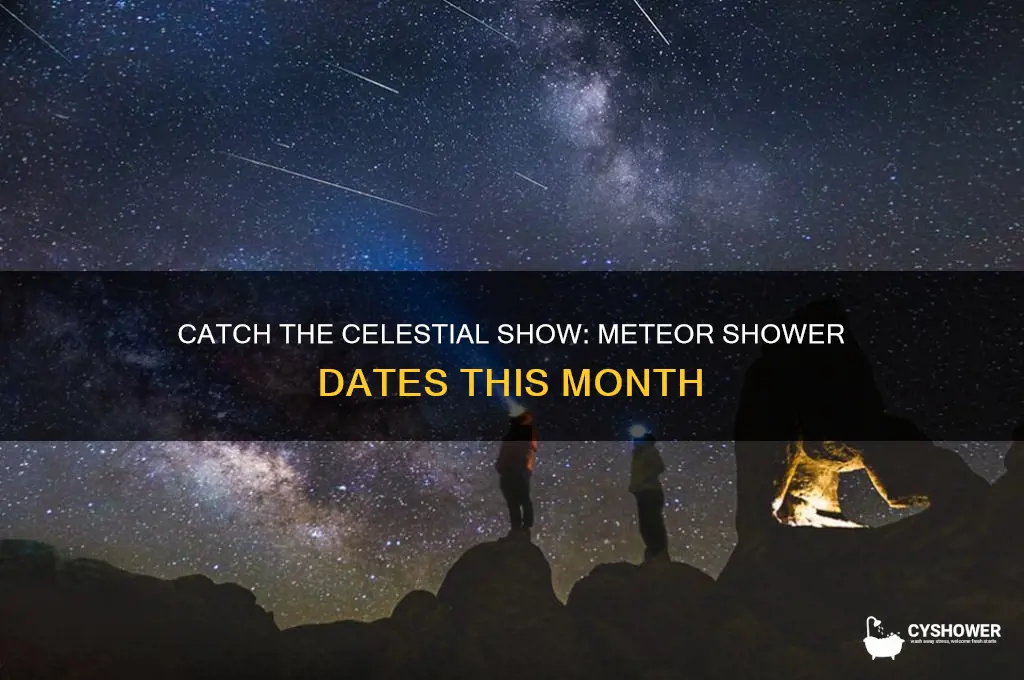 when is meteor shower this month