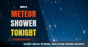 Tonight's Meteor Shower: When and Where to Watch the Celestial Show