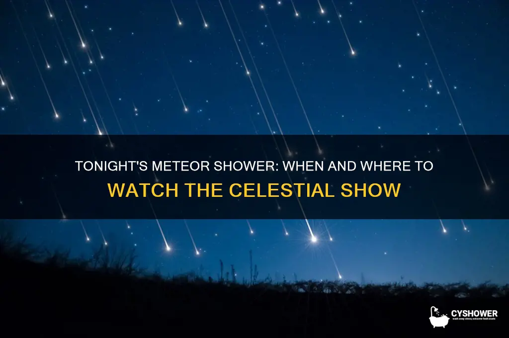 when is meteor shower tonigbt