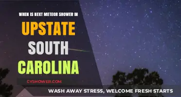 Upstate South Carolina's Next Meteor Shower: Dates and Viewing Tips
