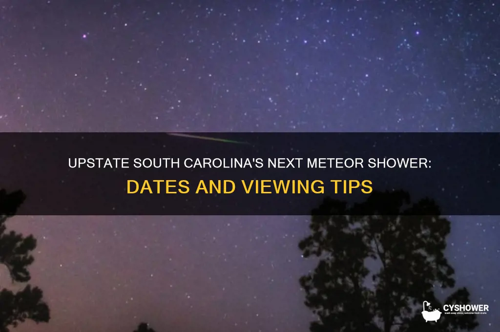 when is next meteor shower in upstate south carolina
