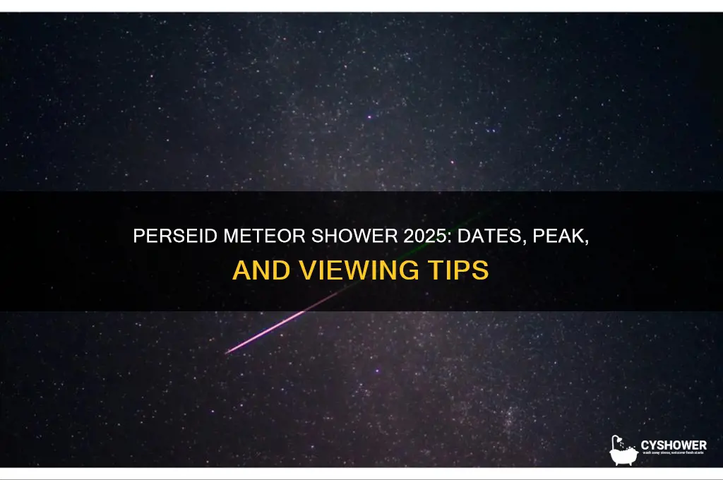 when is perseid meteor shower 2025
